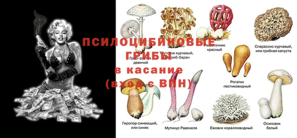 mdpv Горно-Алтайск